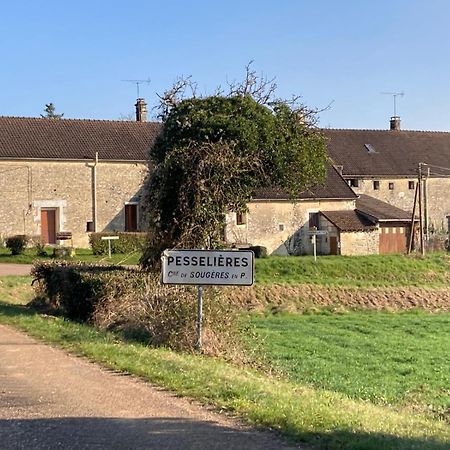 Longere Campagne 10 Pers. Proche Guedelon Villa Sougeres-en-Puisaye Kültér fotó